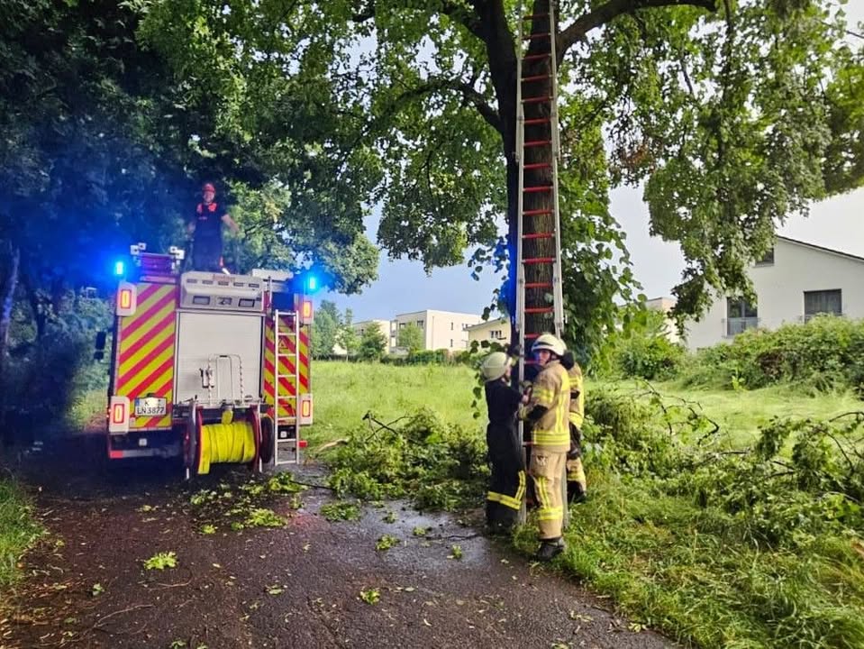 Freiwillige Feuerwehr Köln - Löschgruppe Eil